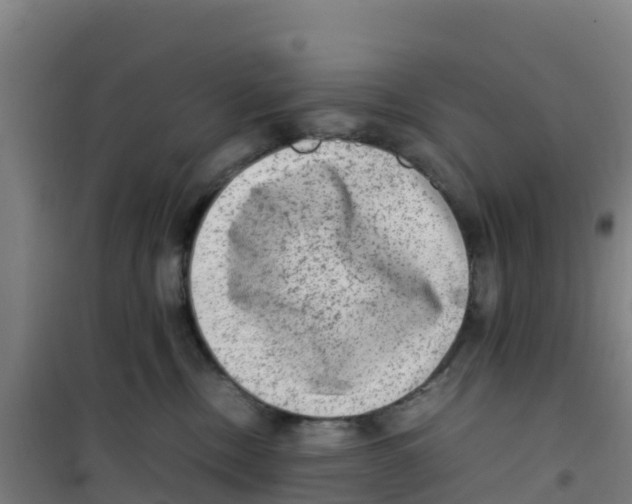 X0000100350378200807031820