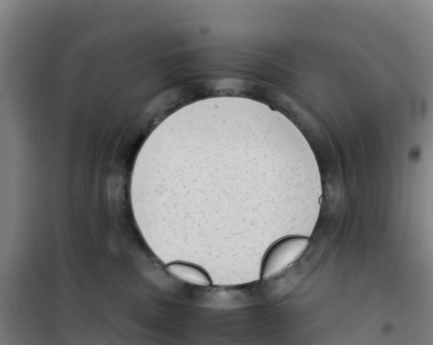 X0000100350379200807031820