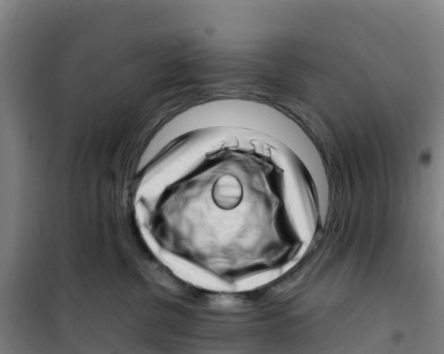 X0000100350380200807031820