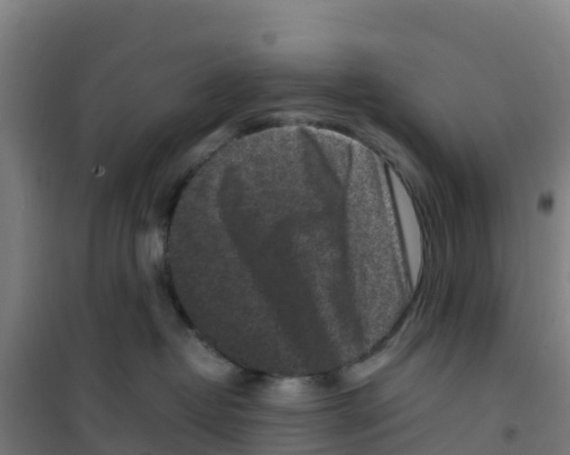 X0000100350382200807031820