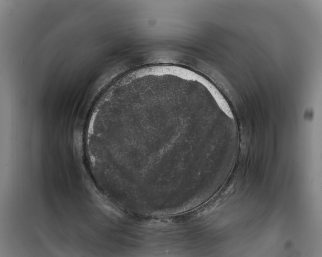 X0000100350386200807031819