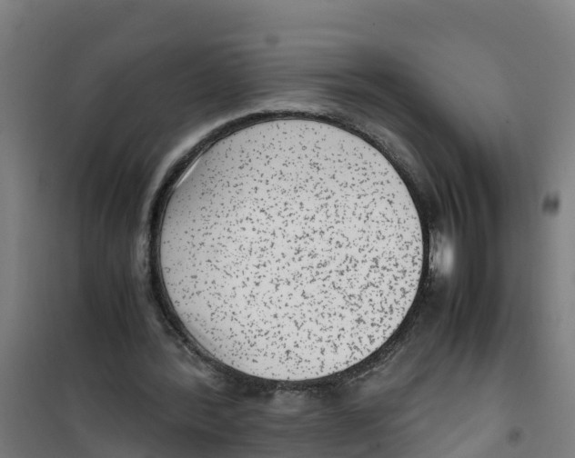 X0000100350388200807031819