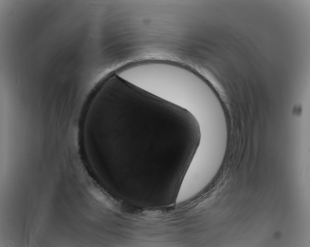 X0000100350391200807031819