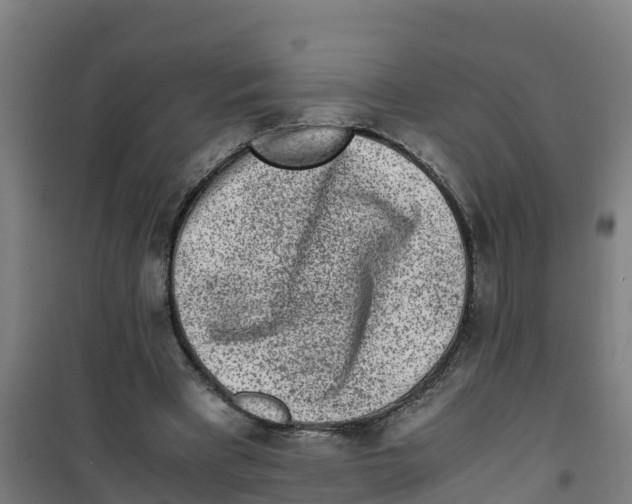 X0000100350393200807031819