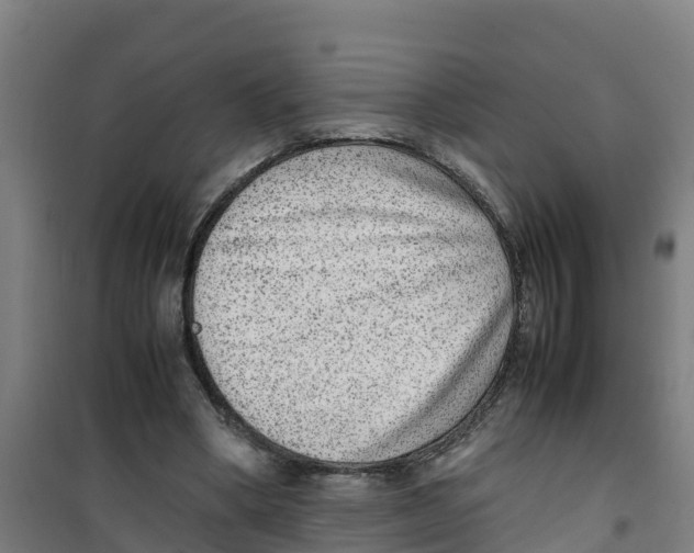 X0000100350394200807031819