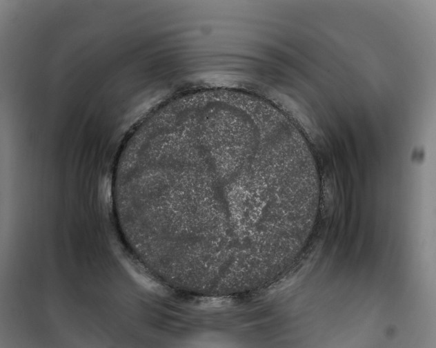 X0000100350398200807031819