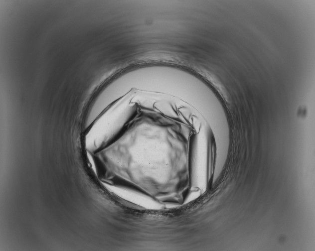 X0000100350399200807031819