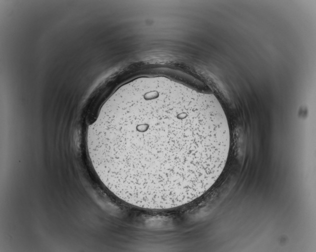 X0000100350400200807031819