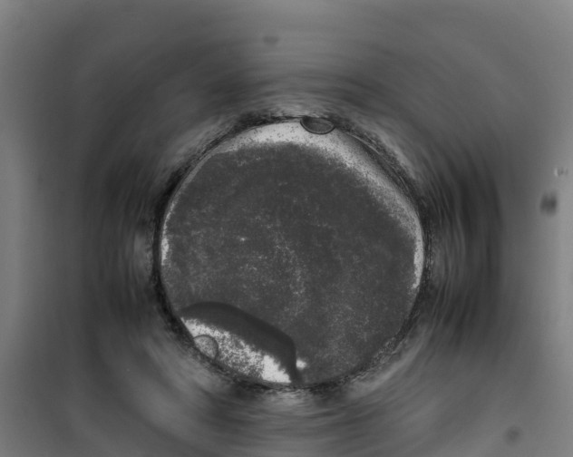 X0000100350402200807031819