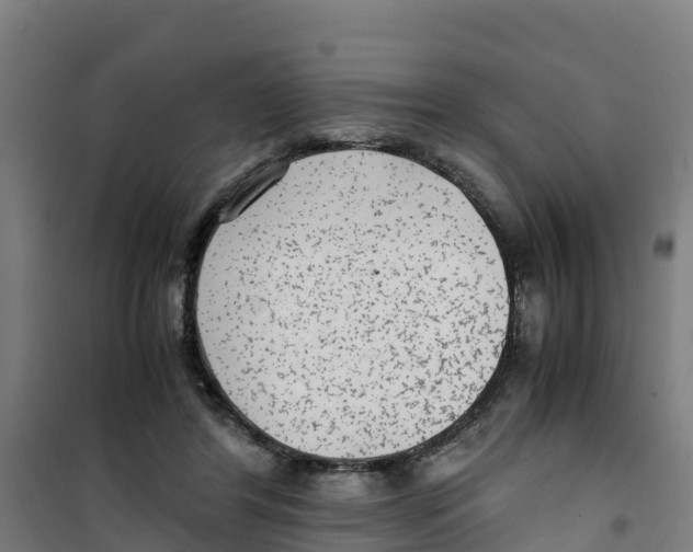 X0000100350404200807031819