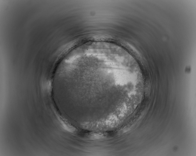 X0000100350405200807031819