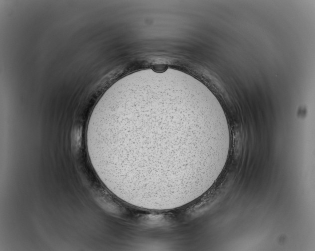 X0000100350406200807031819