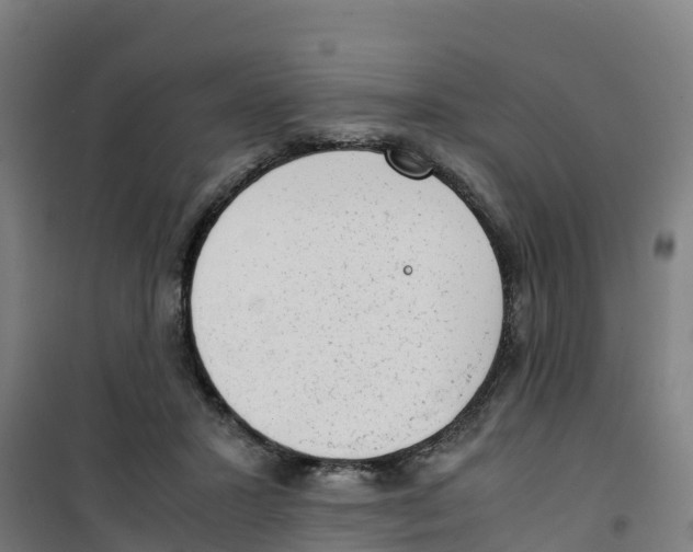 X0000100350407200807031819