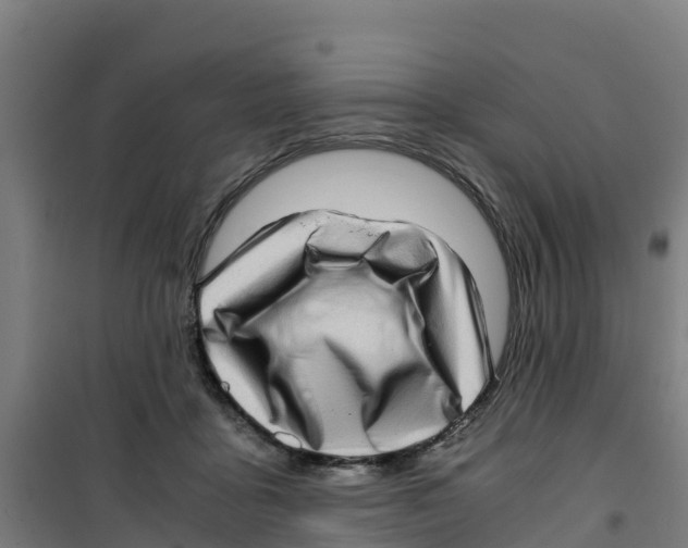 X0000100350411200807031819