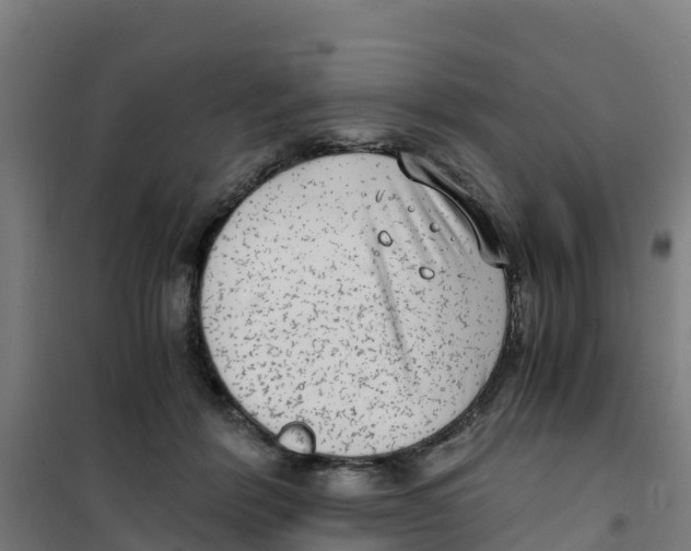 X0000100350412200807031819