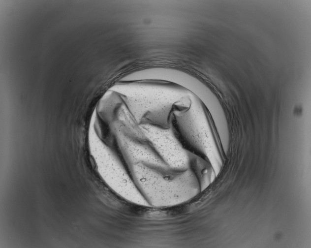 X0000100350413200807031819