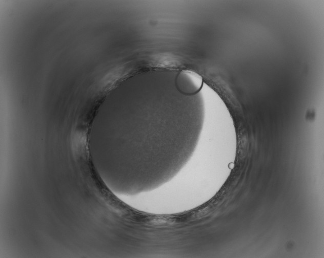 X0000100350415200807031818