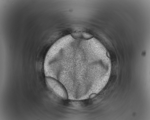 X0000100350417200807031818