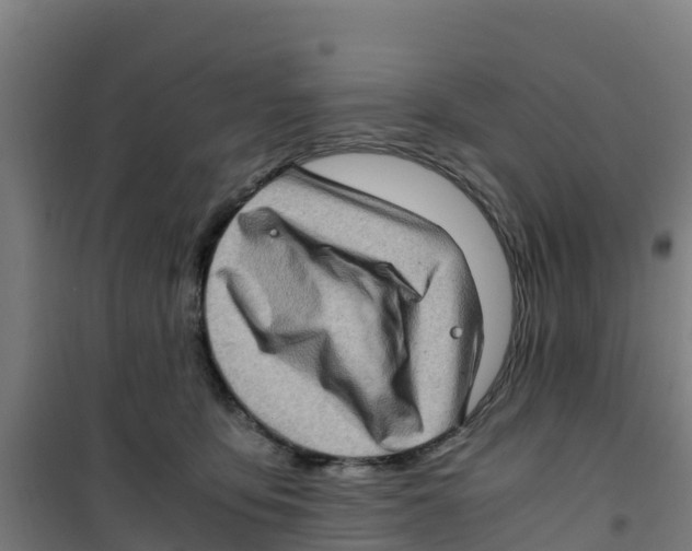 X0000100350419200807031818