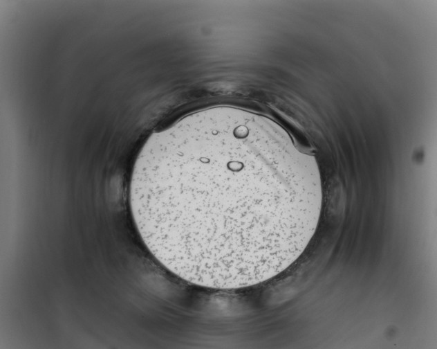 X0000100350420200807031818