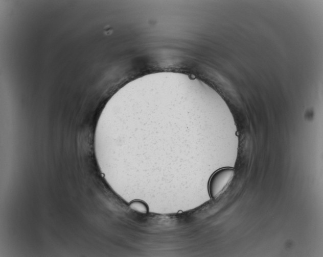 X0000100350421200807031818