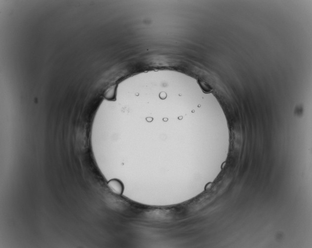 X0000100350422200807031818