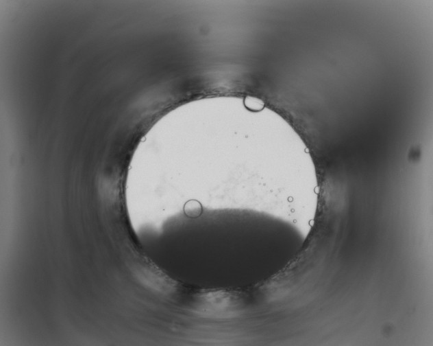 X0000100350423200807031818