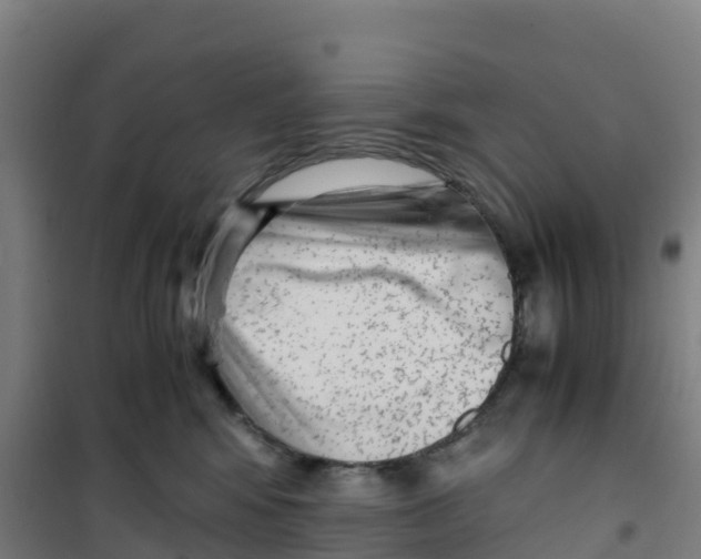 X0000100350424200807031818