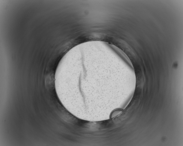 X0000100350425200807031818