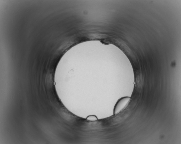 X0000100350426200807031818