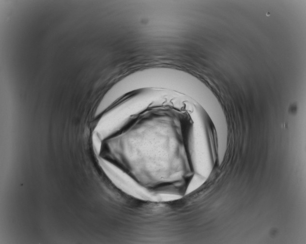 X0000100350427200807031818