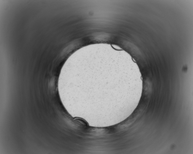 X0000100350428200807031818