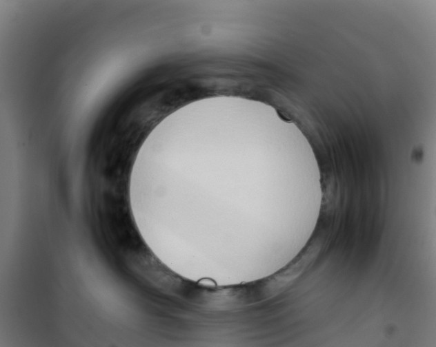 X0000100350430200807031818