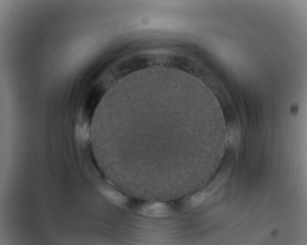 X0000100350431200807031818