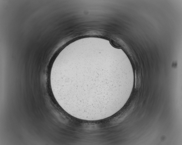 X0000100350435200807031818