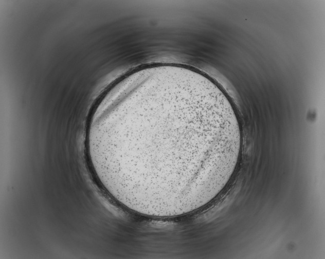 X0000100350437200807031818