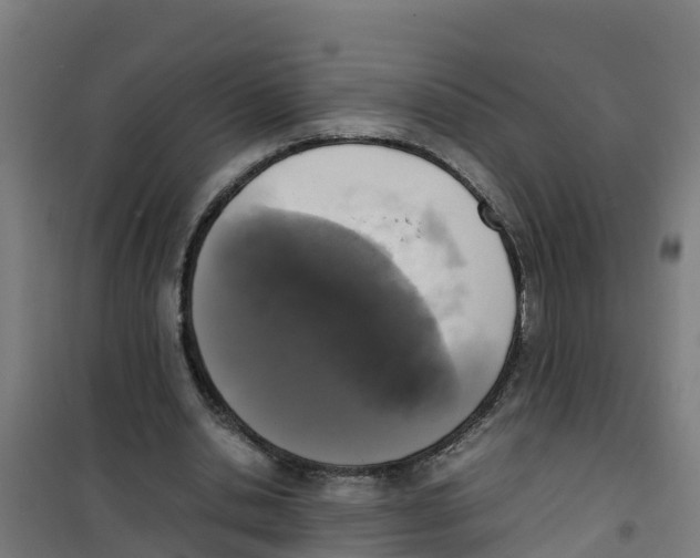 X0000100350438200807031818