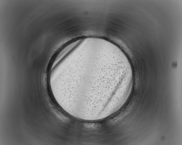 X0000100350439200807031818