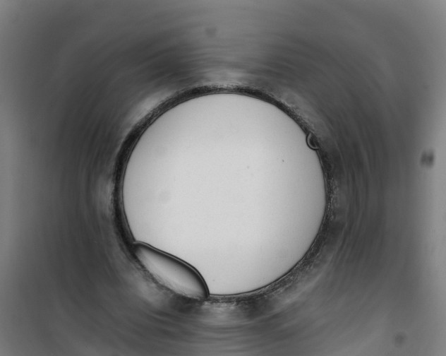 X0000100350440200807031818