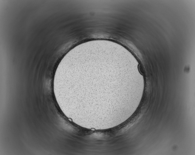 X0000100350441200807031818