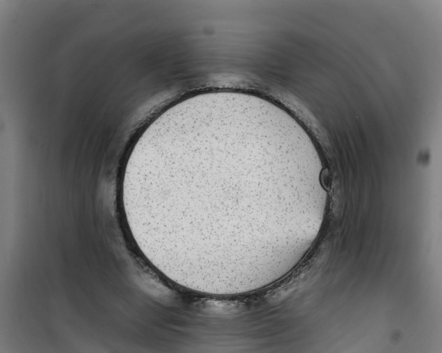 X0000100350442200807031818