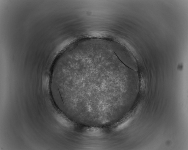 X0000100350444200807031818