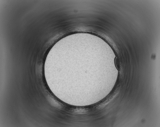 X0000100350445200807031818