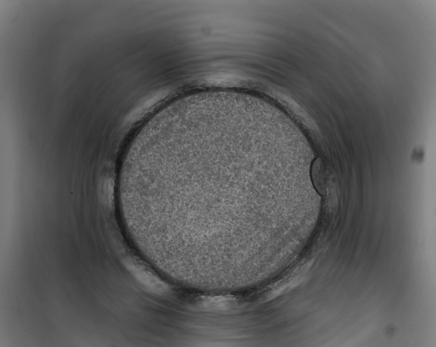 X0000100350446200807031818