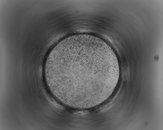 X0000100350447200807031818