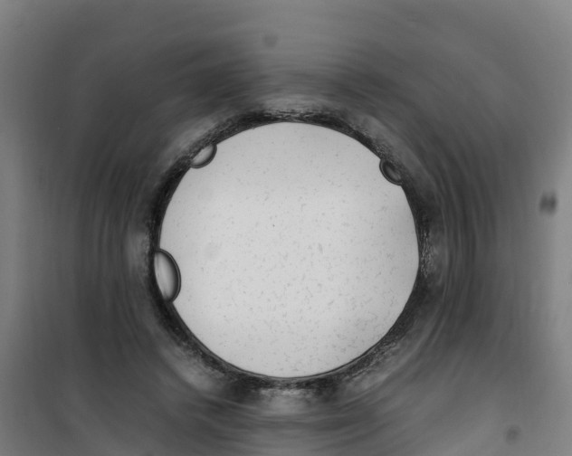 X0000100350448200807031818