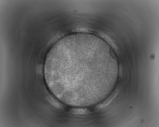 X0000100350449200807031818