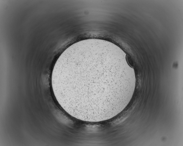 X0000100350450200807031818