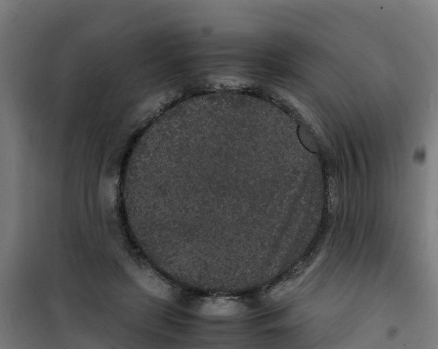 X0000100350451200807031818