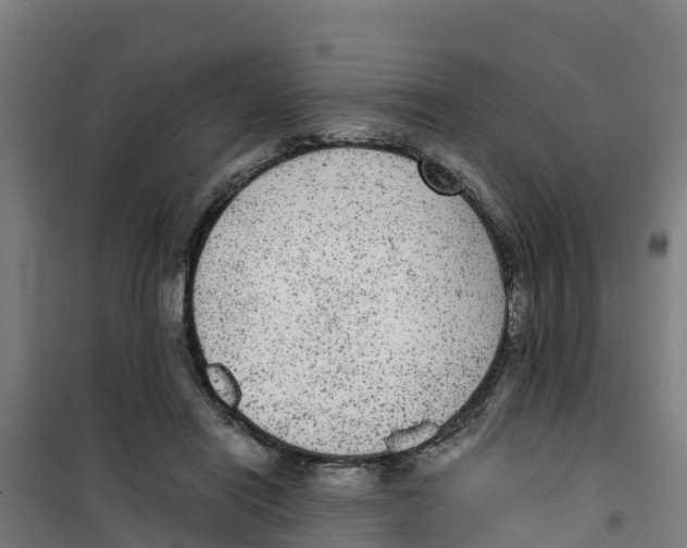 X0000100350454200807031818